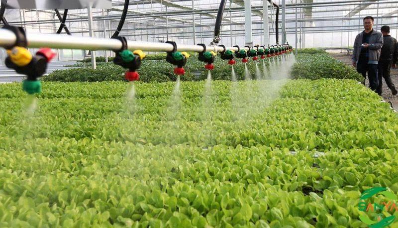 如何應用智慧農業技術推動精準農業發展