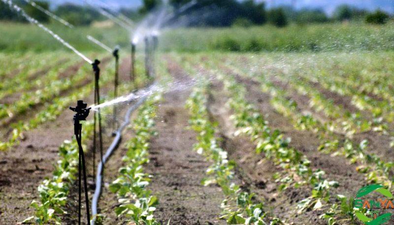 如何運用智慧農業系統提高農業的生產效率和效益？