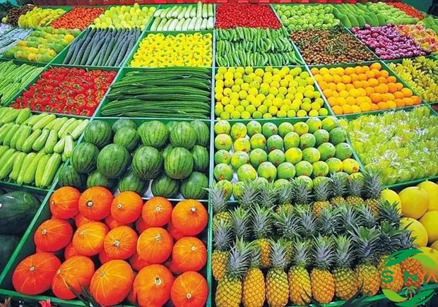 2024海南農業展有哪些