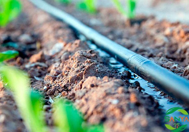 2024海南特種肥料展覽會