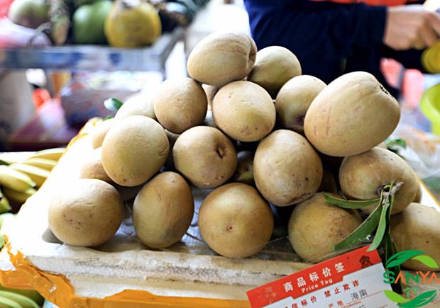 海南植保信息交流暨農業設施展覽會