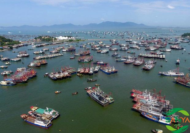 2024海南三亞農業展