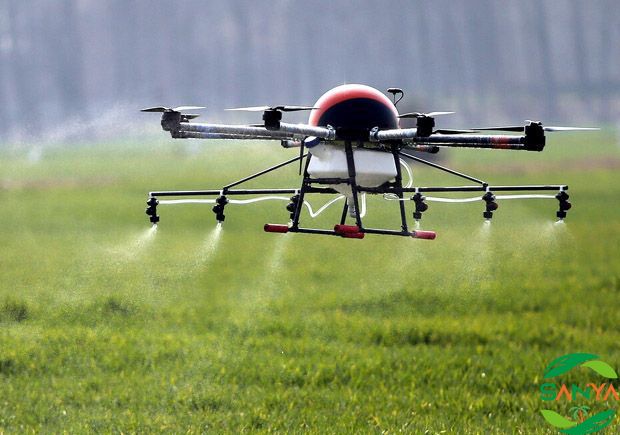 中國(guó)農(nóng)業(yè)現(xiàn)代化的發(fā)展現(xiàn)狀