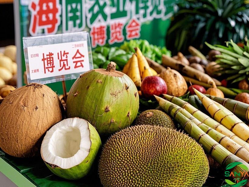 海南2025年有哪些展會